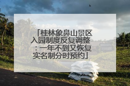 桂林象鼻山景区入园制度反复调整：一年不到又恢复实名制分时预约