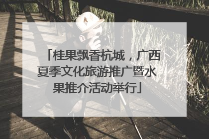 桂果飘香杭城，广西夏季文化旅游推广暨水果推介活动举行