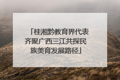 桂湘黔教育界代表齐聚广西三江共探民族美育发展路径