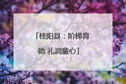 桂阳县：阶梯育德 礼润童心