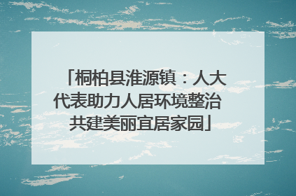 桐柏县淮源镇：人大代表助力人居环境整治 共建美丽宜居家园