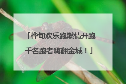 桦甸欢乐跑燃情开跑 千名跑者嗨翻金城！