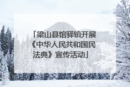 梁山县馆驿镇开展《中华人民共和国民法典》宣传活动