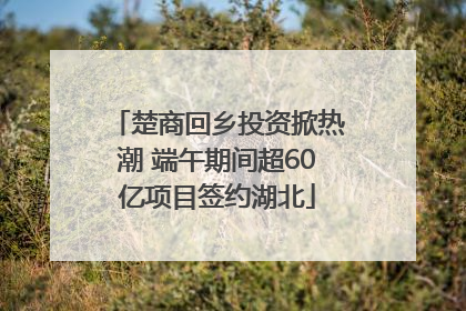 楚商回乡投资掀热潮 端午期间超60亿项目签约湖北