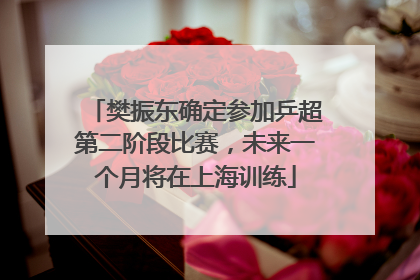 樊振东确定参加乒超第二阶段比赛，未来一个月将在上海训练