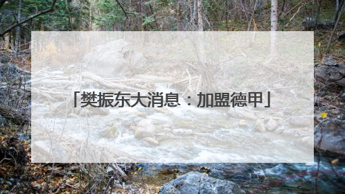 樊振东大消息：加盟德甲