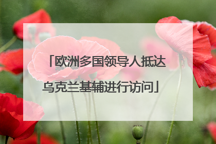 欧洲多国领导人抵达乌克兰基辅进行访问