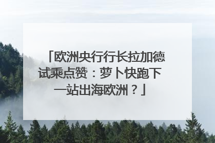 欧洲央行行长拉加德试乘点赞：萝卜快跑下一站出海欧洲？