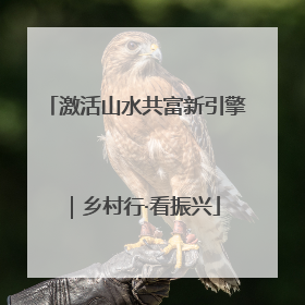 激活山水共富新引擎｜乡村行·看振兴