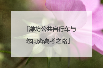 潍坊公共自行车与您同奔高考之路