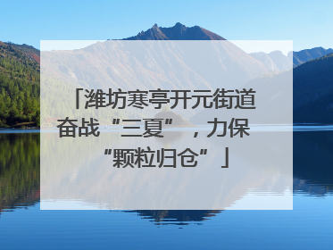 潍坊寒亭开元街道奋战“三夏”，力保“颗粒归仓”