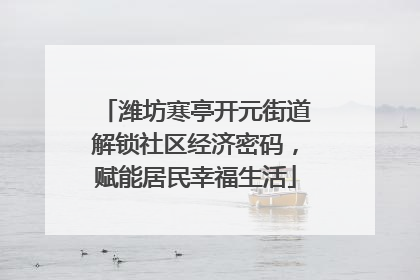 潍坊寒亭开元街道解锁社区经济密码，赋能居民幸福生活