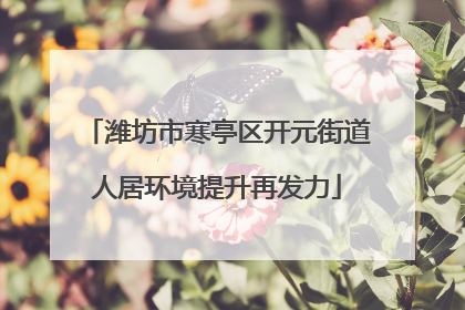 潍坊市寒亭区开元街道人居环境提升再发力