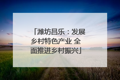 潍坊昌乐：发展乡村特色产业 全面推进乡村振兴