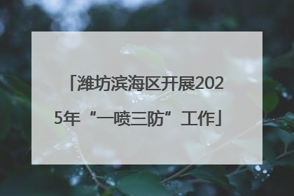 潍坊滨海区开展2025年“一喷三防”工作