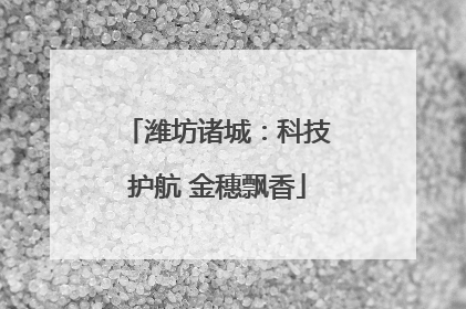 潍坊诸城：科技护航 金穗飘香