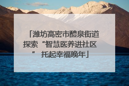 潍坊高密市醴泉街道探索“智慧医养进社区” 托起幸福晚年