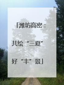 潍坊高密：共绘“三夏”好“丰”景