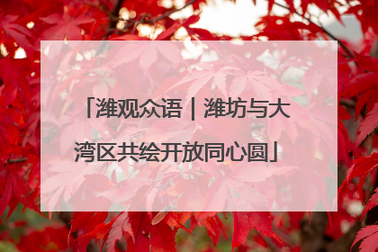 潍观众语｜潍坊与大湾区共绘开放同心圆