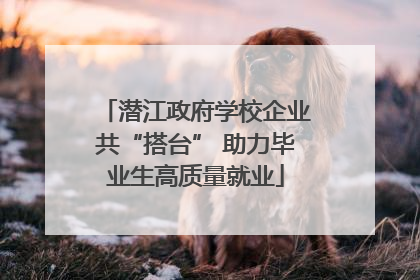 潜江政府学校企业共“搭台” 助力毕业生高质量就业