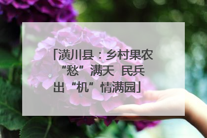 潢川县：乡村果农“愁”满天  民兵出“机”情满园