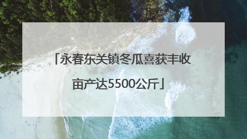 永春东关镇冬瓜喜获丰收 亩产达5500公斤