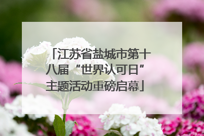 江苏省盐城市第十八届“世界认可日”主题活动重磅启幕