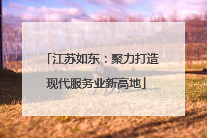 江苏如东：聚力打造现代服务业新高地