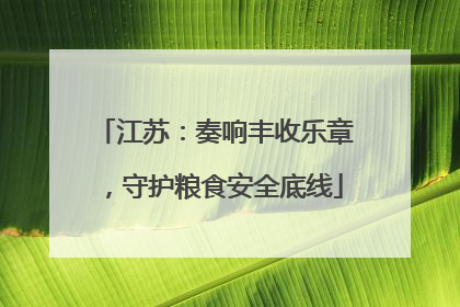 江苏：奏响丰收乐章，守护粮食安全底线