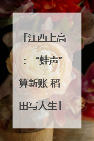 江西上高：“蛙声”算新账 稻田写人生