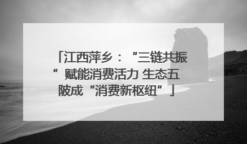 江西萍乡：“三链共振”赋能消费活力 生态五陂成“消费新枢纽”