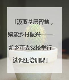 汲取基层智慧，赋能乡村振兴——新乡市委党校举行选调生培训课
