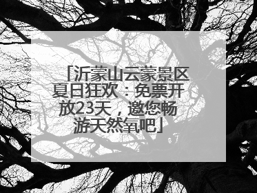 沂蒙山云蒙景区夏日狂欢：免票开放23天，邀您畅游天然氧吧