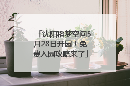 沈阳稻梦空间5月28日开园！免费入园攻略来了