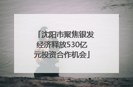 沈阳市聚焦银发经济释放530亿元投资合作机会
