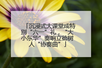 沉浸式大课堂成特别“六一”礼，“大小东华”奏响立德树人“协奏曲”