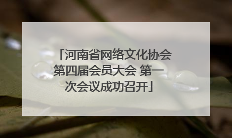 河南省网络文化协会第四届会员大会 第一次会议成功召开