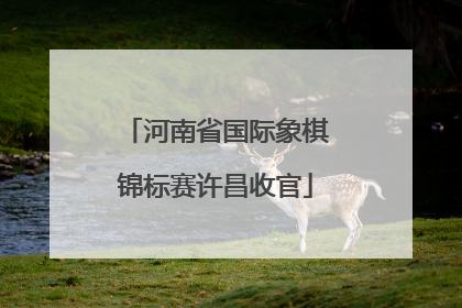河南省国际象棋锦标赛许昌收官