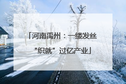 河南禹州：一缕发丝“织就”过亿产业