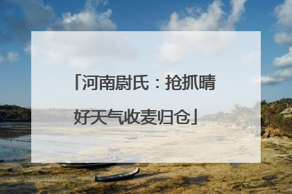 河南尉氏：抢抓晴好天气收麦归仓