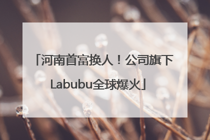 河南首富换人！公司旗下Labubu全球爆火