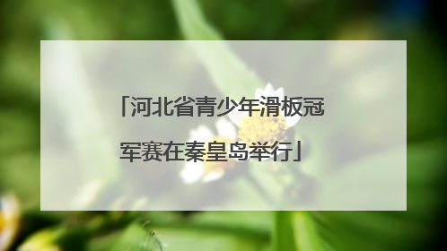 河北省青少年滑板冠军赛在秦皇岛举行