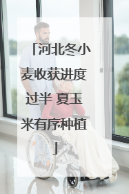 河北冬小麦收获进度过半 夏玉米有序种植