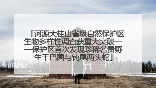 河源大桂山省级自然保护区生物多样性调查获重大突破——保护区首次发现珍稀名贵野生干巴菌与钝尾两头蛇