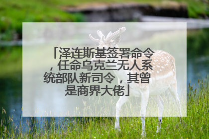 泽连斯基签署命令，任命乌克兰无人系统部队新司令，其曾是商界大佬
