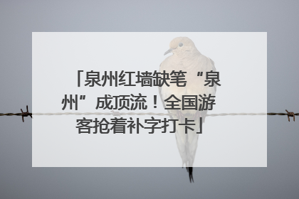 泉州红墙缺笔“泉州”成顶流！全国游客抢着补字打卡