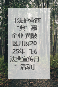 法护营商 “典”惠企业 黄陂区开展2025年“民法典宣传月”活动