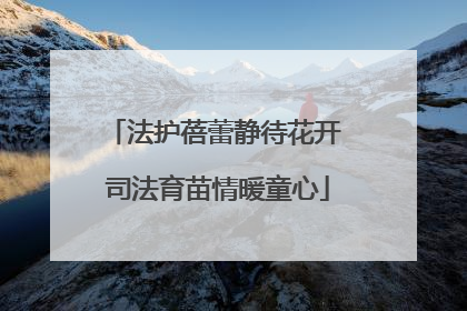法护蓓蕾静待花开 司法育苗情暖童心