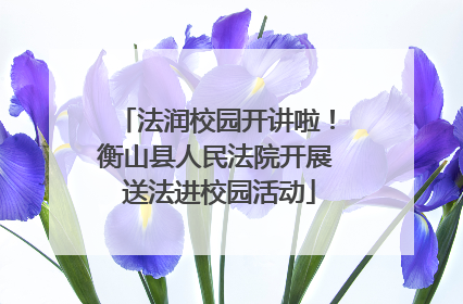 法润校园开讲啦！衡山县人民法院开展 送法进校园活动