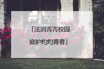 法润菁菁校园 庭护灼灼青春
